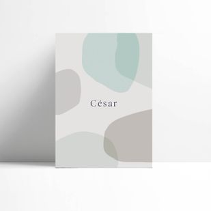 Geboortekaartje Cesar