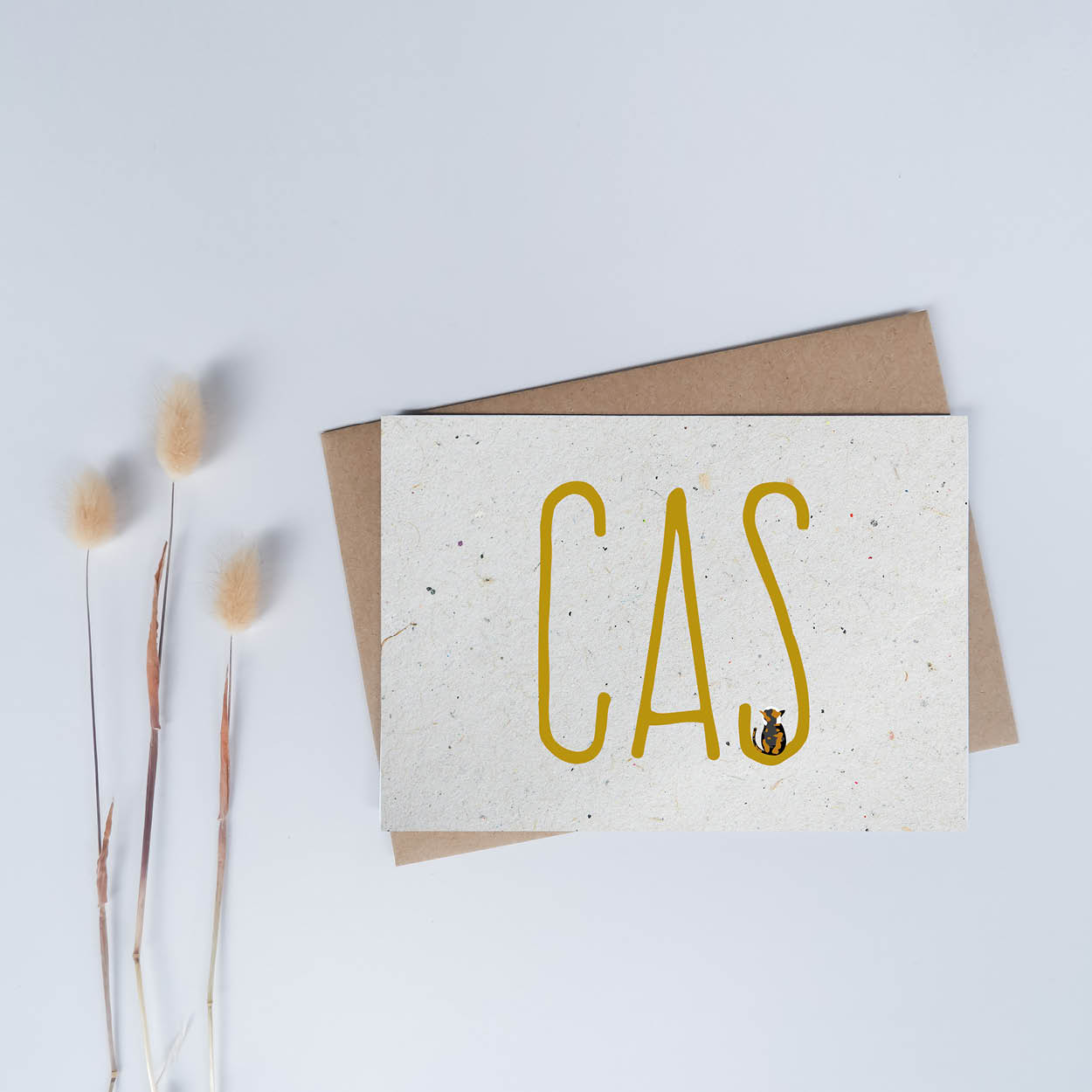 Cas Geboortekaartje