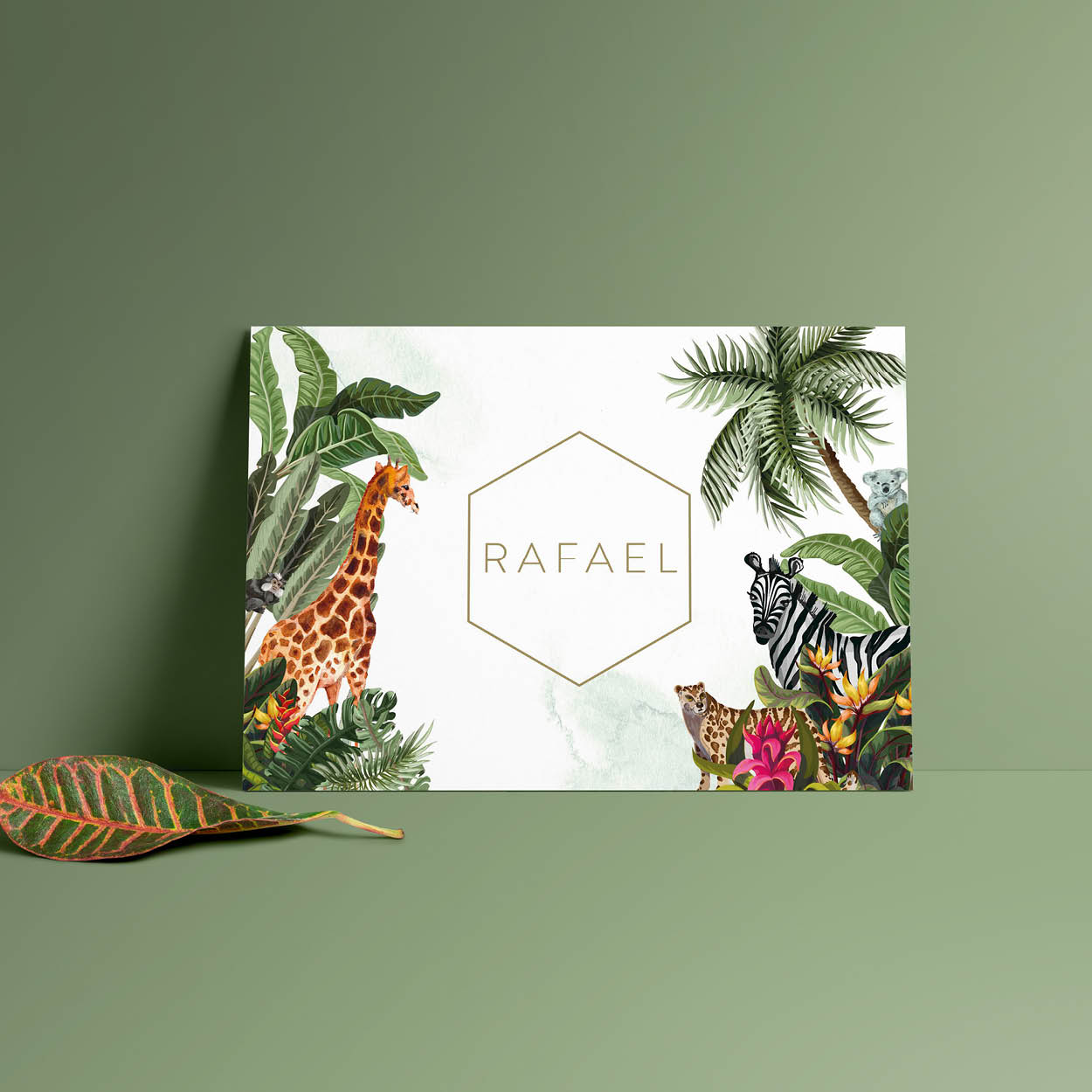 Geboortekaartje Rafael