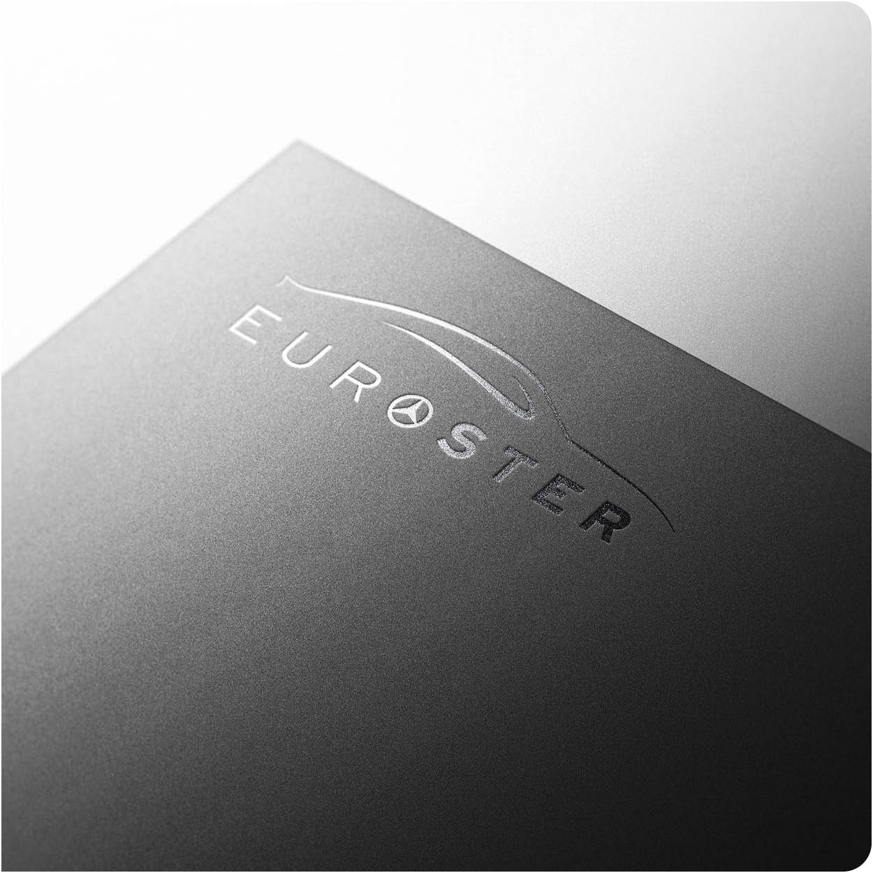 Euroster logo